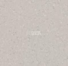 Линолеум Forbo Sphera Element 50028 greige фото 1 | FLOORDEALER